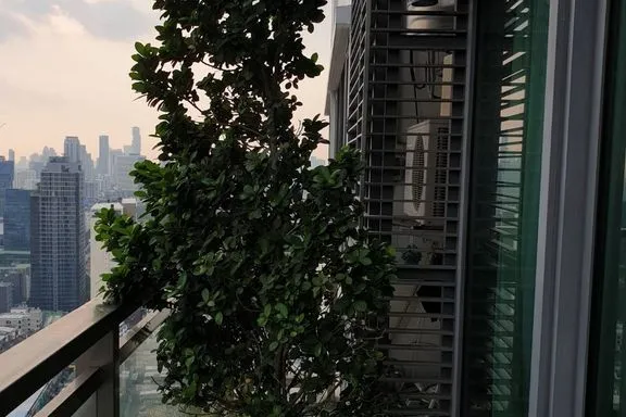 A 3-bedroom condo for rent at Bright Sukhumvit 24, BTS Phrom Phong, Bangkok, view 11